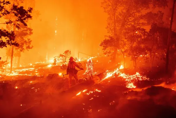A firefighter manages a blaze during the creek fire in the Cascade woods of Madera county California
