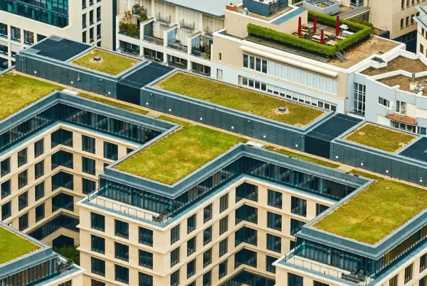 Green building roofs